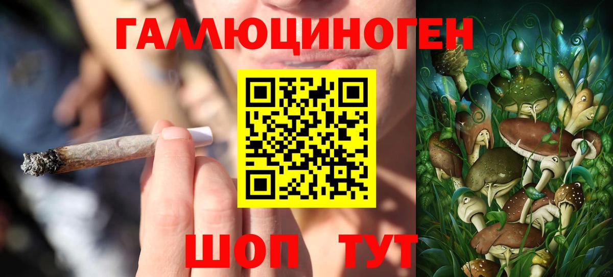 Псилоцибиновые грибы Cubensis Железногорск