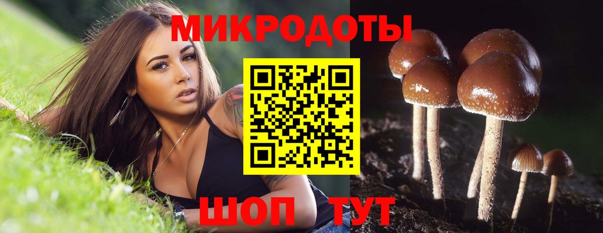 Железногорск  Псилоцибиновые грибы мицелий  Вход с VPN 